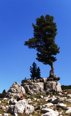 dolomiten große fanesalm