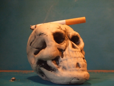 skull 6