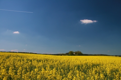 Maihimmel