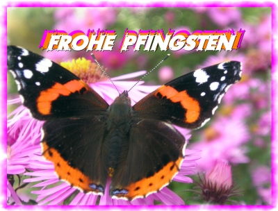 FROHE PFINGSTEN 08