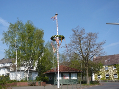 Maibaum in Kalthof