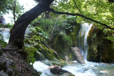 kleiner Wasserfall mit Baum, Kroatien