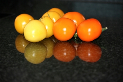 Tomaten 9