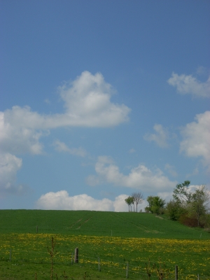 Frühlingslandschaft