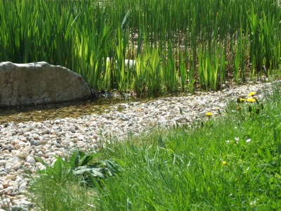 Ein herrlicher Frühsommertag 2