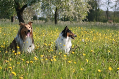 Jessy und Sam