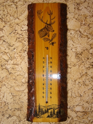 Thermometer