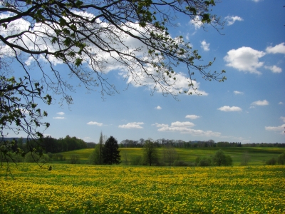 Natur im Frühling / 4