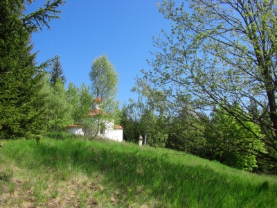 Natur im Frühling / 8