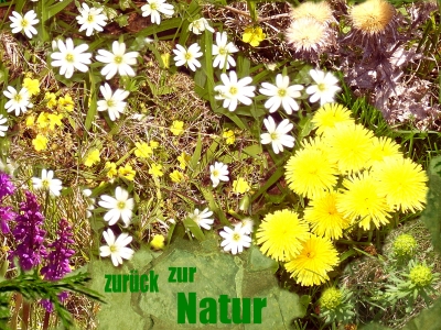 zurück zur Natur