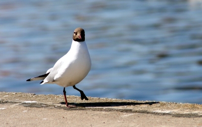 I'm on the catwalk