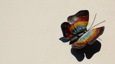Wand-Schmetterling