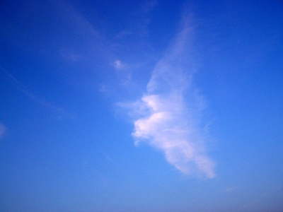 Wolkenvogel