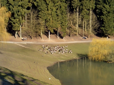 Wildpark Schwarze Berge, LK Harburg