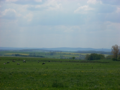 Frühlingslandschaft