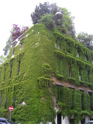 grüne Fassade