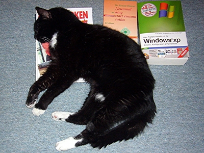 Mittagsschlaf; meine liebe Katze Luzi(fer) im Jahr 2007