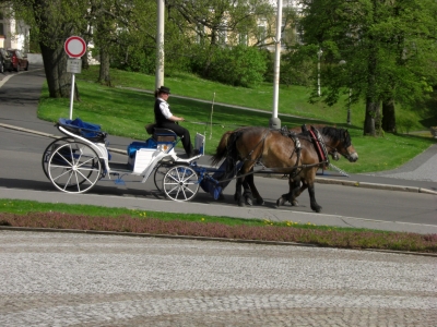 Pferdekutsche in Marienbad