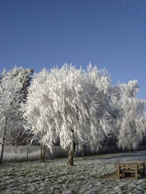 Winterlandschaft