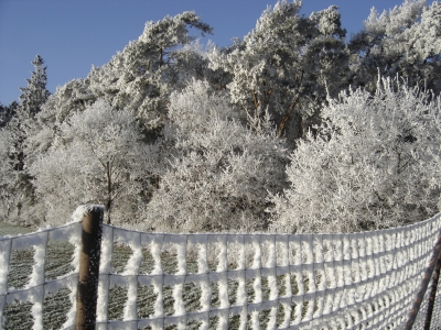 Winterlandschaft