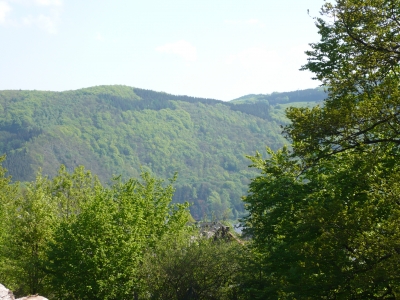 Ein Stück Sauerland