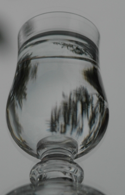 Schnapsglas (Spiegelbild)
