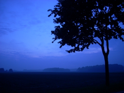 Blaue Stunde - leichter Nebel