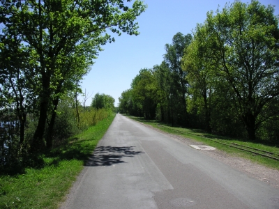 Moorweg