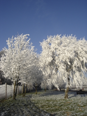 Winterlandschaft