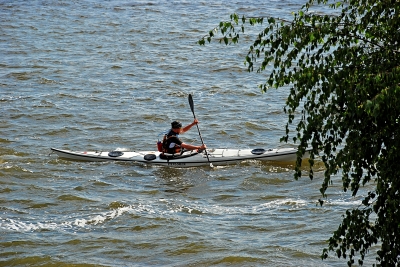 der Wassergärtner