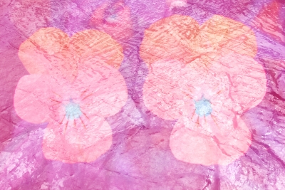 Hintergrund - Blüten Steine Wasser