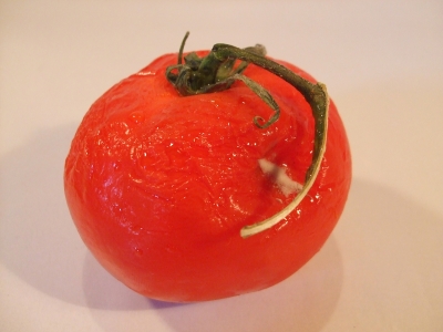 faule tomate 1