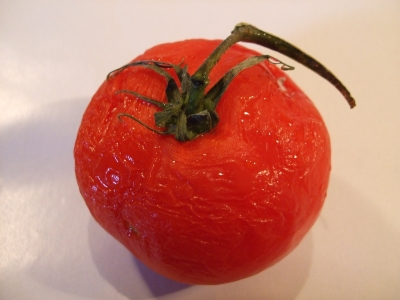 faule tomate 2