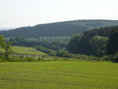 Ein Stück Natur Sauerland