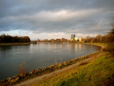 Herbststimmung am Neckar bei Mannheim