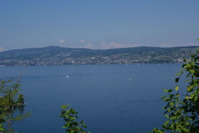 Panoramablick auf den Zürichsee 2