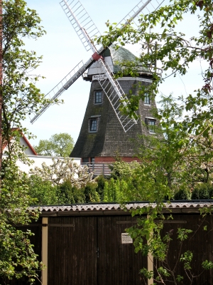 Warnemünde 05 05 Windmühle _0003