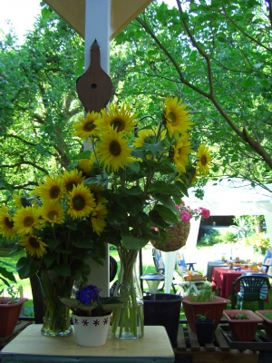 Sonnenblumen auf der Finca Barbarella