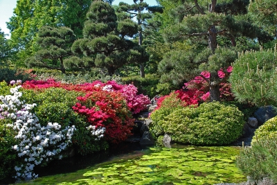 Japanischer Garten