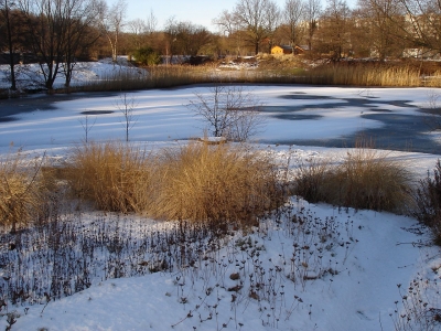 Winterlandschaft