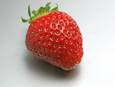 Erdbeere solo_1