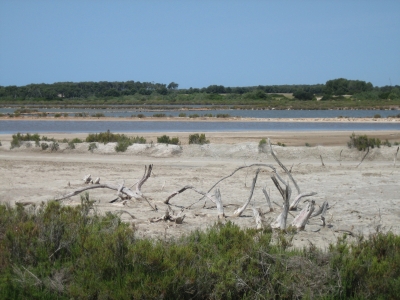 Salines03