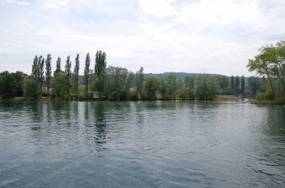Natur am Rhein