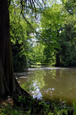 Ruhe und Entspannung am Teich
