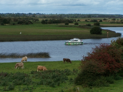 Auf dem Shannon schippern