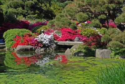 Japanischer Garten