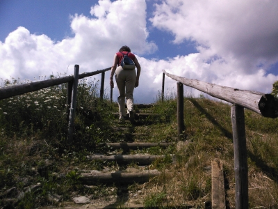 Der Weg nach oben