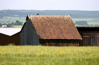 Feldscheune 1