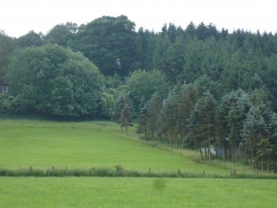 Ein Stück Natur Sauerland