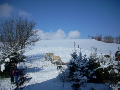 Wintertag - Erinnerung